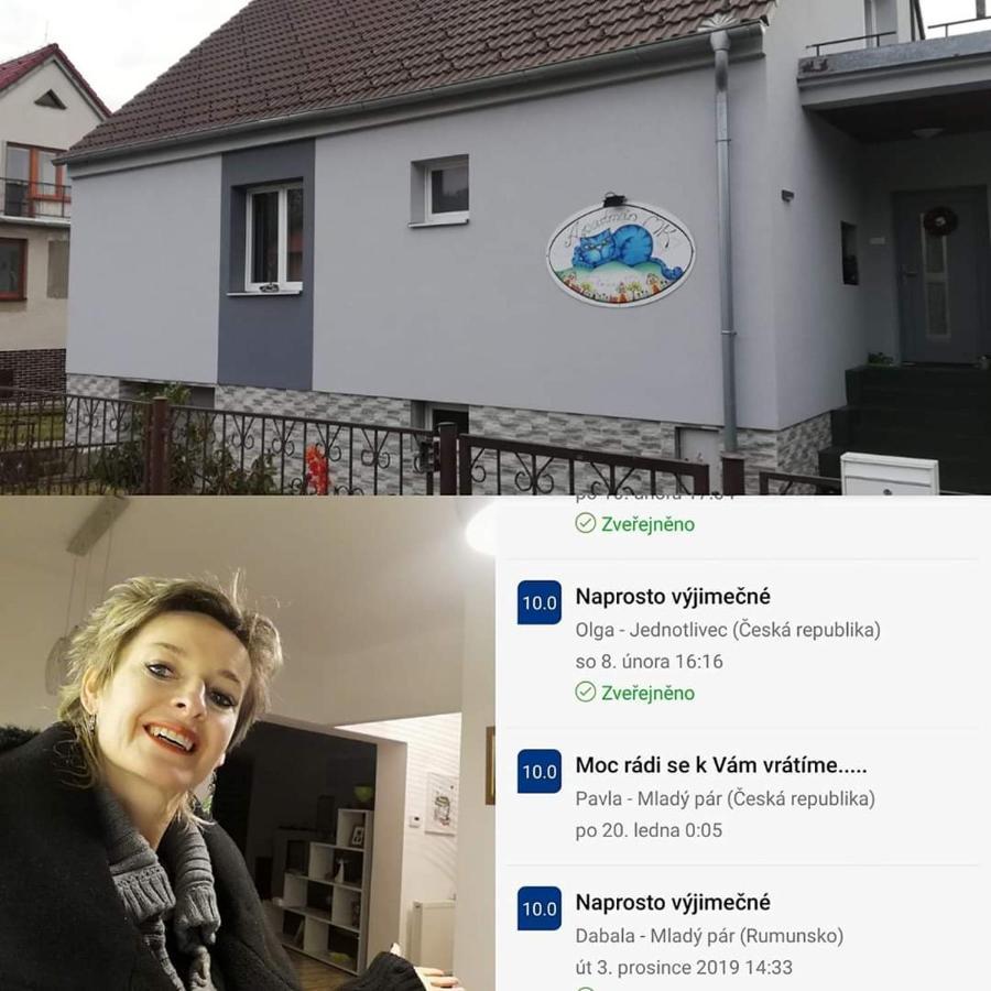Apartmany Mk U Modre Kocky Nové Hrady 외부 사진